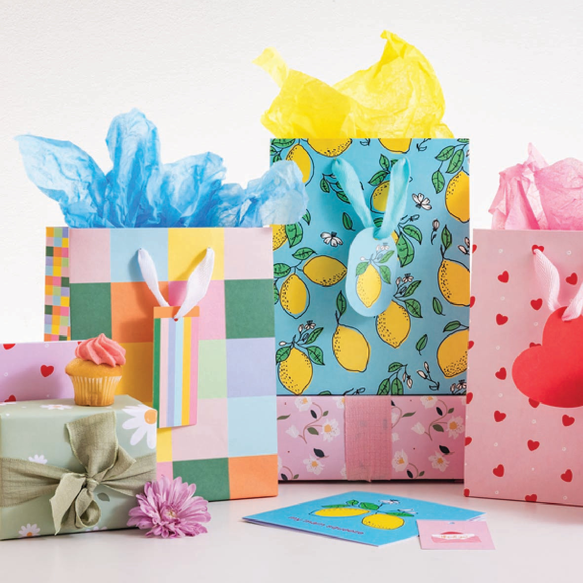 Our Premium Grade Eco Friendly Gift Bags