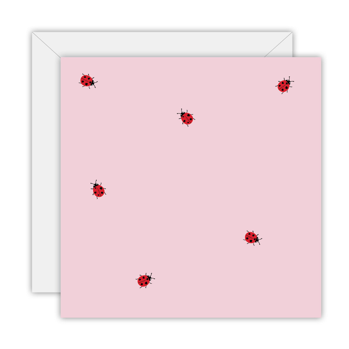 Love Heart & Lady Bug: Birthday Cards, Double Sided Wrapping Paper and Gift Tags