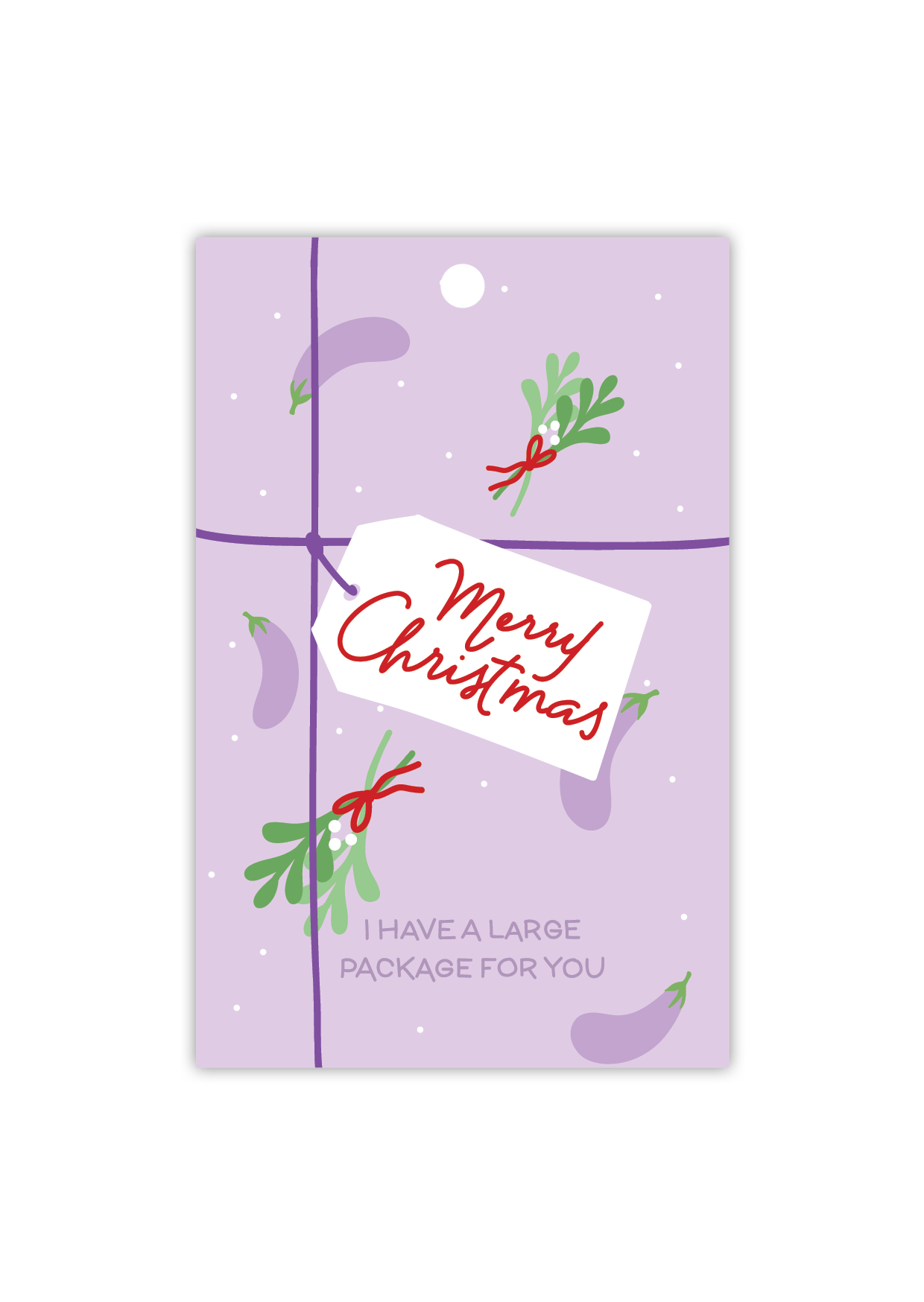 Large Christmas Package - Gift Tag