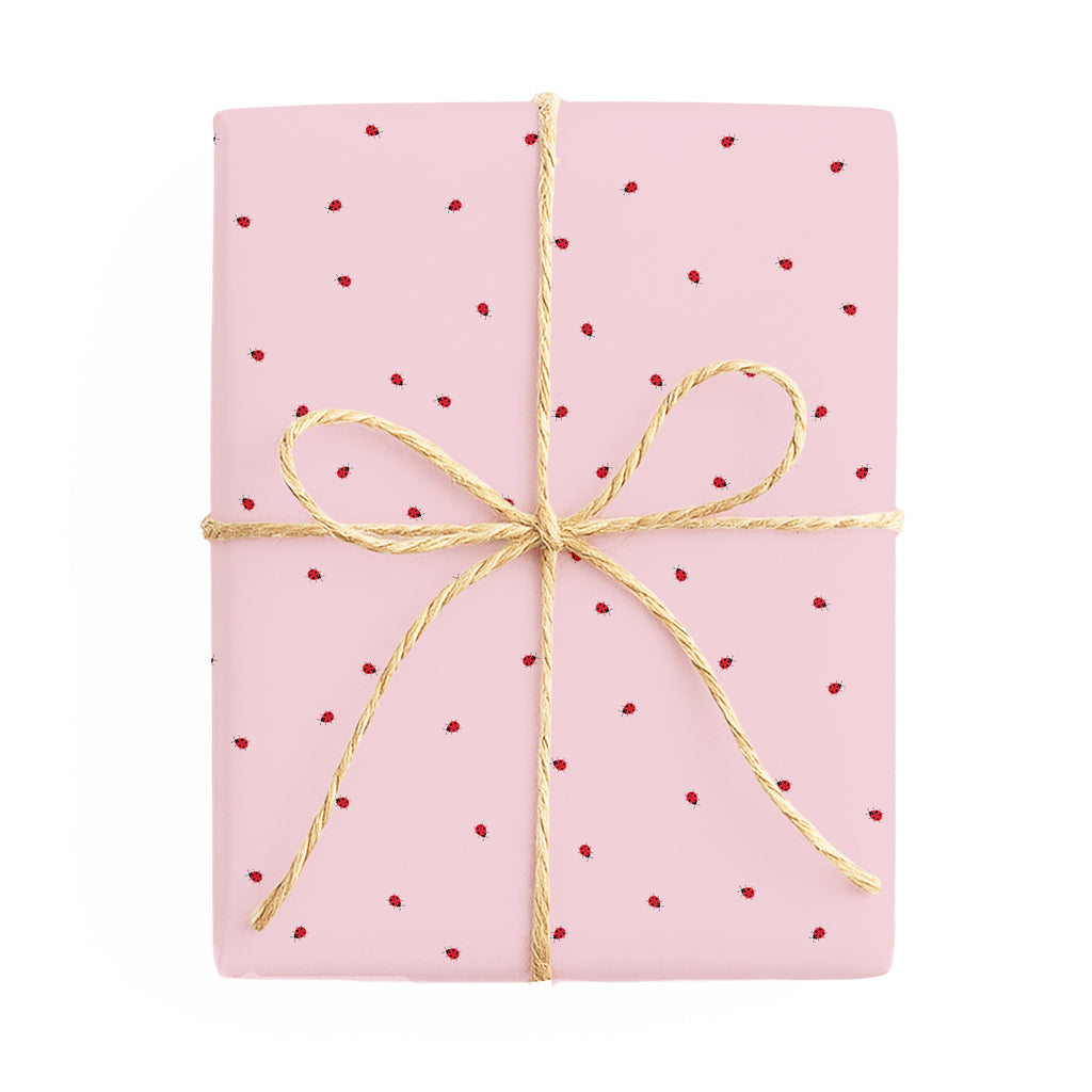 Lady Bug / Love Heart