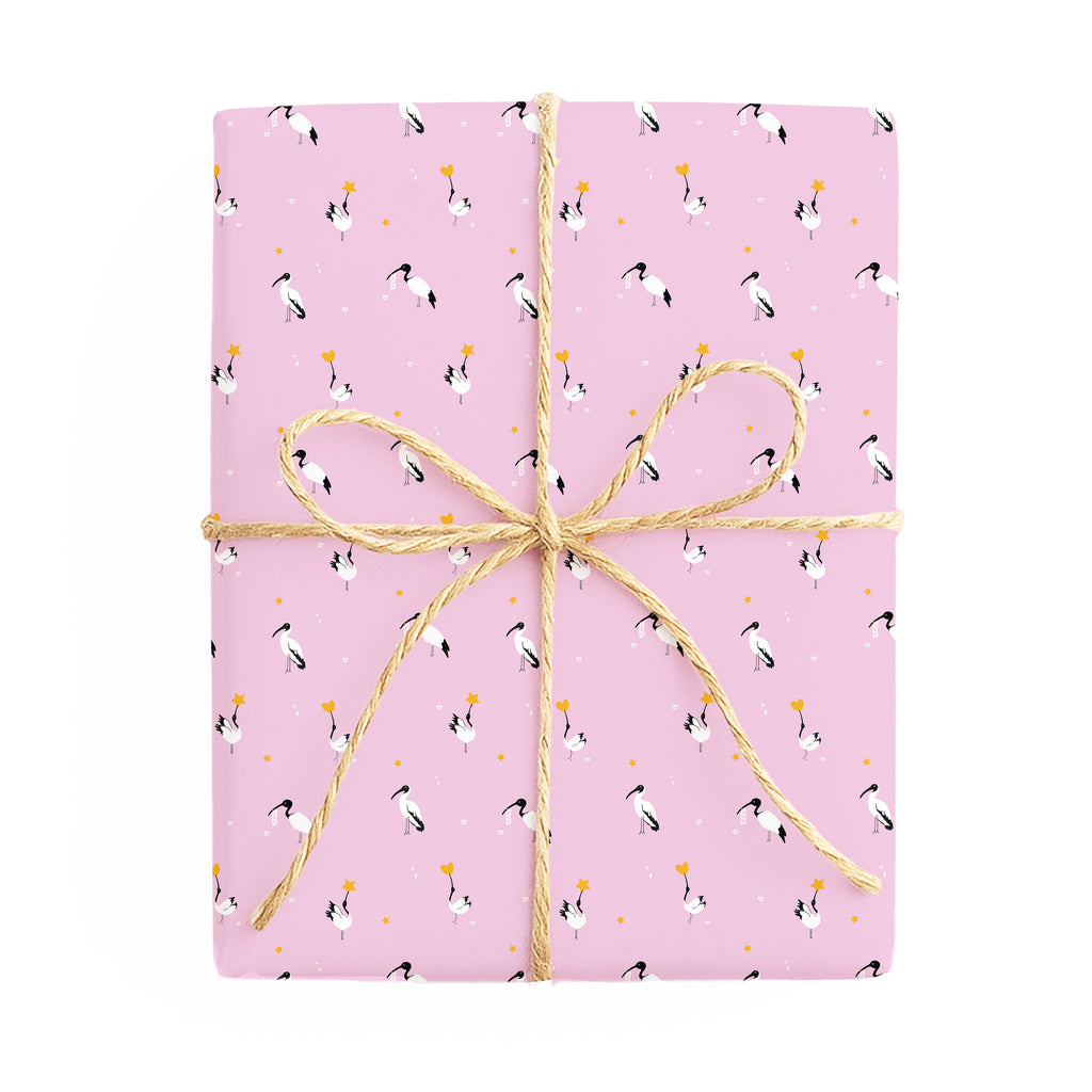 Ibis Christmas / Koala la la