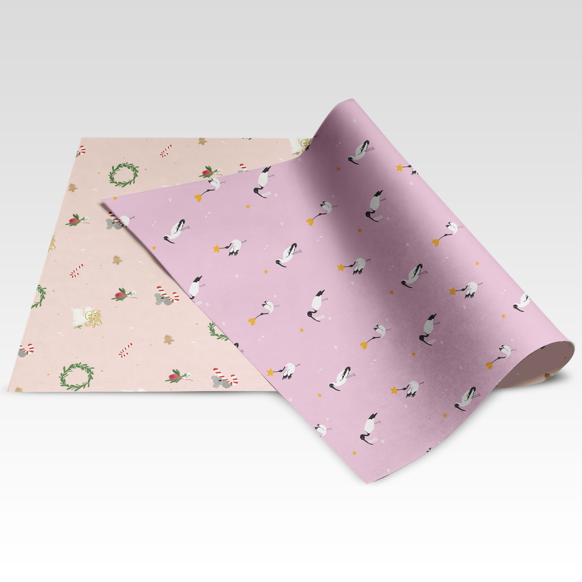 Ibis Christmas / Koala la la