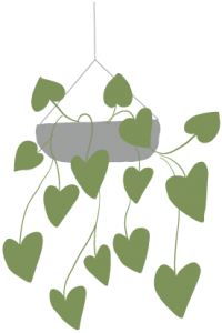 Hanging plant illustration