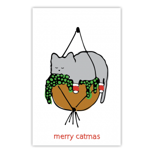 Catmas - hanging plant